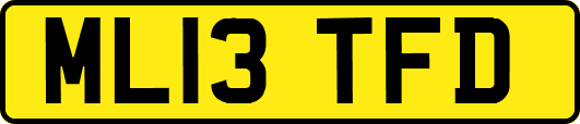 ML13TFD