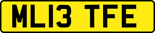 ML13TFE