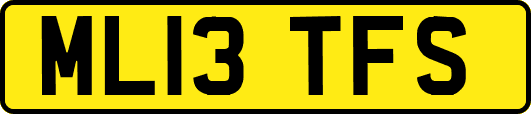 ML13TFS