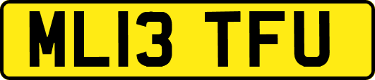ML13TFU