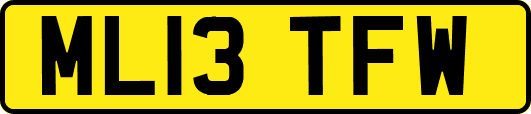 ML13TFW