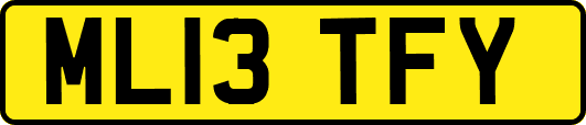 ML13TFY