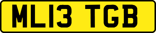 ML13TGB