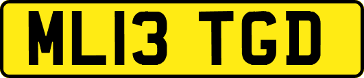 ML13TGD