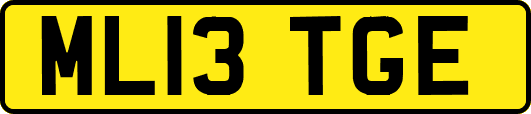 ML13TGE