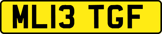 ML13TGF