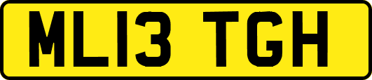 ML13TGH