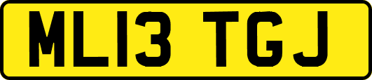 ML13TGJ