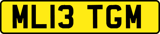 ML13TGM