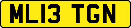ML13TGN