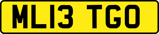 ML13TGO