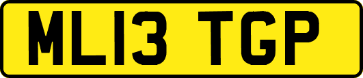 ML13TGP