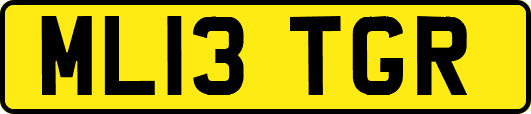 ML13TGR