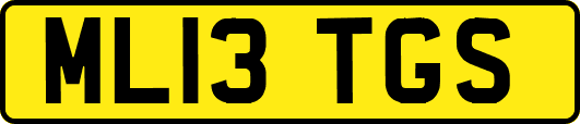 ML13TGS