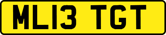 ML13TGT