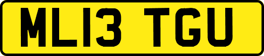 ML13TGU