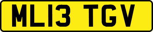 ML13TGV