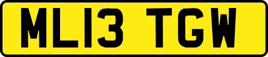 ML13TGW