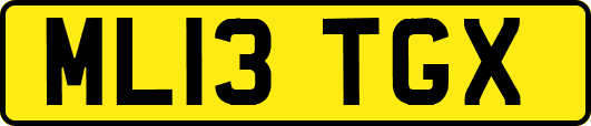 ML13TGX