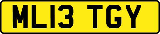 ML13TGY