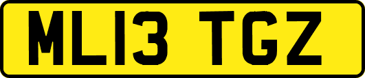 ML13TGZ