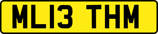 ML13THM