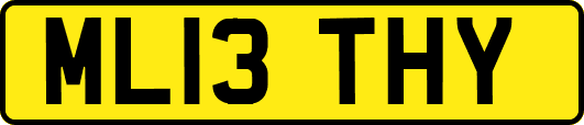 ML13THY