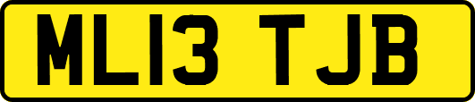 ML13TJB