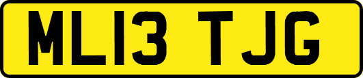 ML13TJG