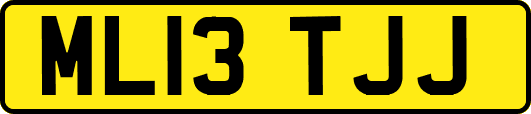 ML13TJJ