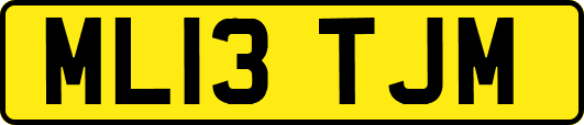 ML13TJM