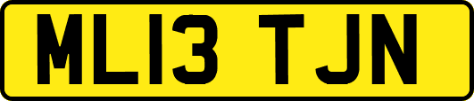 ML13TJN