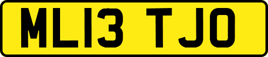 ML13TJO