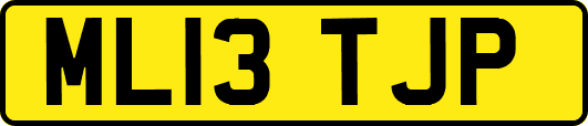 ML13TJP