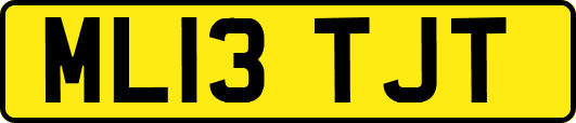 ML13TJT