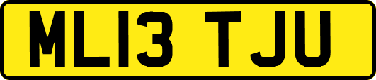 ML13TJU
