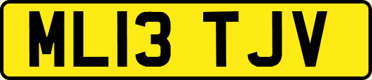 ML13TJV