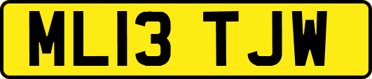 ML13TJW