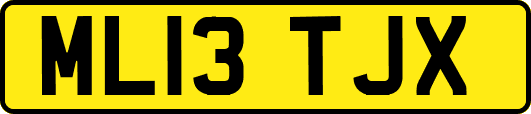 ML13TJX