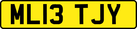 ML13TJY