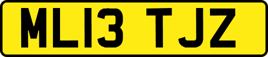 ML13TJZ
