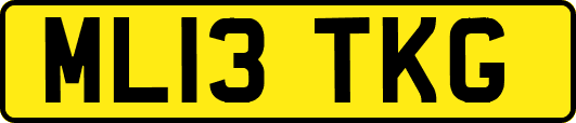 ML13TKG