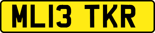 ML13TKR