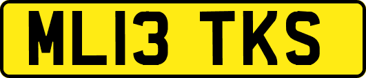 ML13TKS