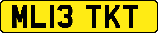 ML13TKT