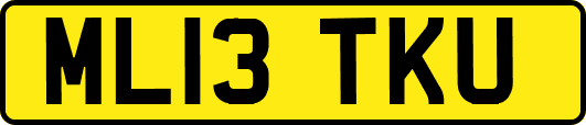 ML13TKU