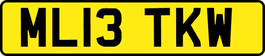 ML13TKW