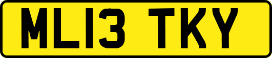 ML13TKY