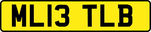 ML13TLB