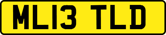 ML13TLD
